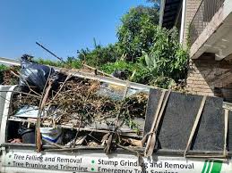 Best Furniture Removal  in Leadville North, CO