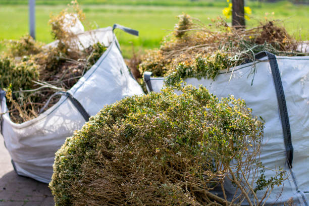Best Carpet Removal and Disposal  in Leadville North, CO